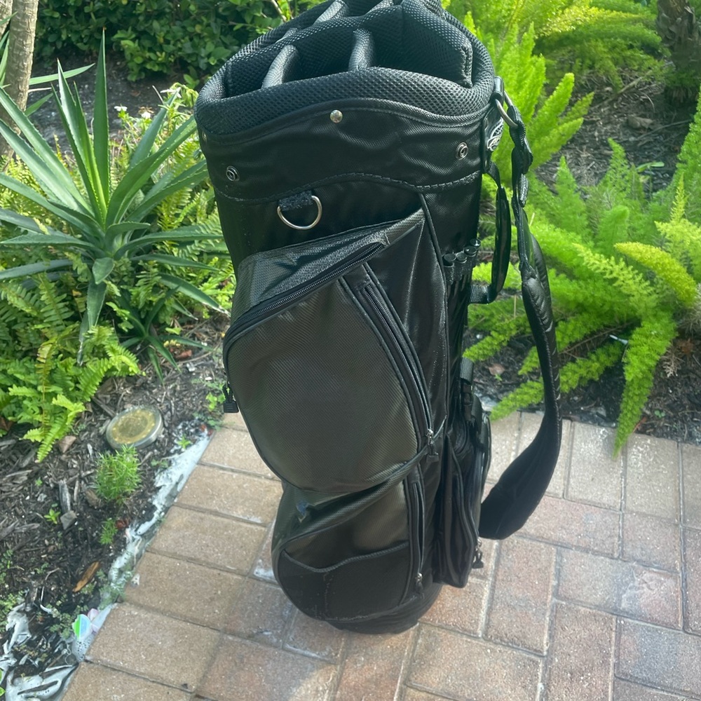 knight golf cart bag 
With club dividers and shoulder strap